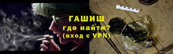 индика Новокубанск