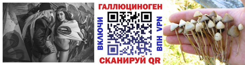 Псилоцибиновые грибы Cubensis Никольское